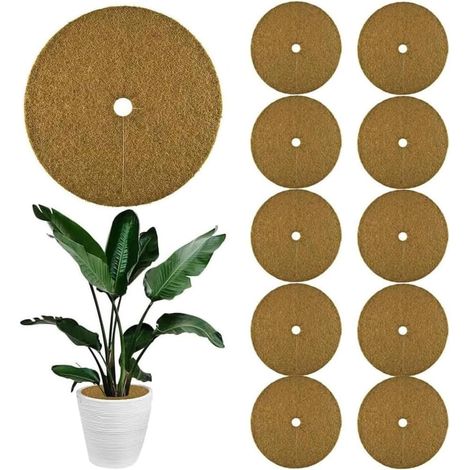 10 x Coconut Mulching Discs, Diameter 20 cm, Coconut Pot Cover, Winter Protection for Potted Plants, Coconut Fiber, Winter Protection, 20 cm (1/5)