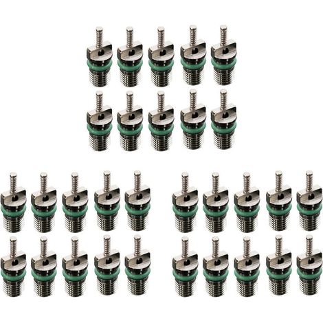 Assortiment de 30 aiguilles de valve pour climatiseur automobile R134A, résistantes à la chaleur et compatibles avec le réfrigérant 134A. (1/5)