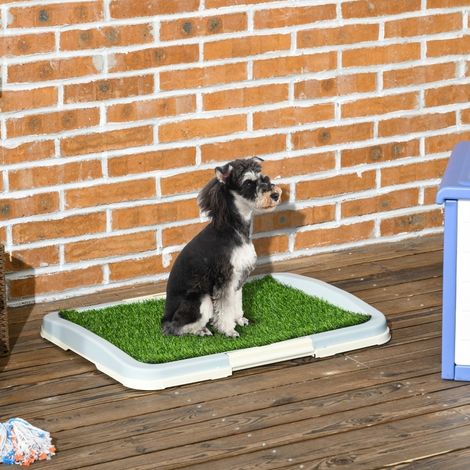 Hundetoilette 63x48,5x6 cm aus Kunststoff in Grün, wiederverwendbar für Welpen – MEUBLIV (1/5)