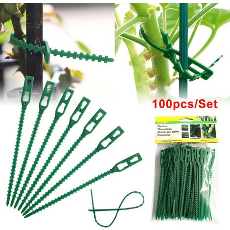 100PCS attaches végétales ajustables pour rosiers et arbustes, liens souples de jardin pour plantes grimpantes (1/5)