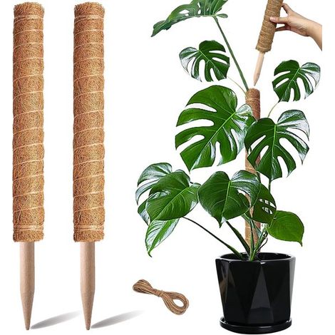 Moosstäbe Rankgitter Kletterhilfe für Pflanzen Pflanzenstütze für Monstera, Efeutute und Geldbaum 2 Stück 50 cm (1/5)