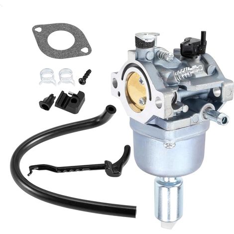 Carburatore Compatibile OEM 792036 795366 – Ricambio Robusto in Metallo per Motociclette e Generatori di Corrente (1/5)