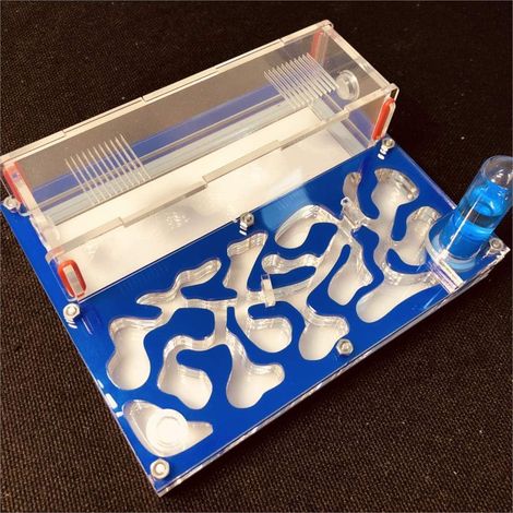 Formicarium Naturelle pour Ferme à Fourmis pour Tube à essai de Fourmis Live Humidité Grand Espace Nid de Fourmis en Acrylique, Fourmilière Insectes (Bleu) (1/3)