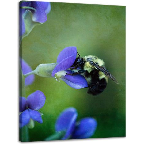 Impression sur toile Botanique Abeille Fleur 30x40 cm