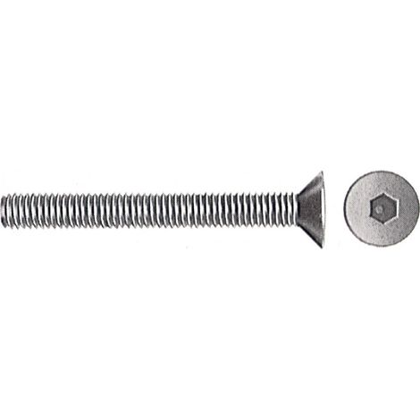 SC VITI PER BUSSOLA T.S.P. ESAG INC 6MA 60 MM 10 PZ- 5,0 pz