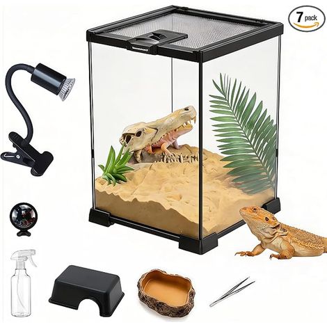 Kit Terrarium, Terrariums en Verre de 20 x 20 x 30 cm Transparent Kit de Boîte à Reptiles avec Lampe pour Reptiles Thermomètre Plaque à Décor de Pierres Gamelle Pince à Épiler et Arrosoir (1/4)