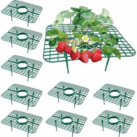 Set di 10 supporti per fragole adulti, tralicci e supporti per piante con 4 gambe per proteggere da lumache e marciume. (1/5)