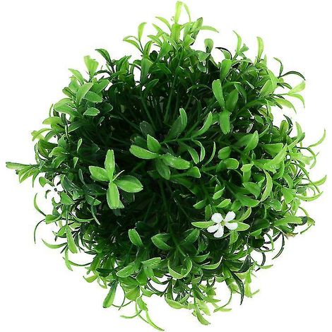 1 fausse plante