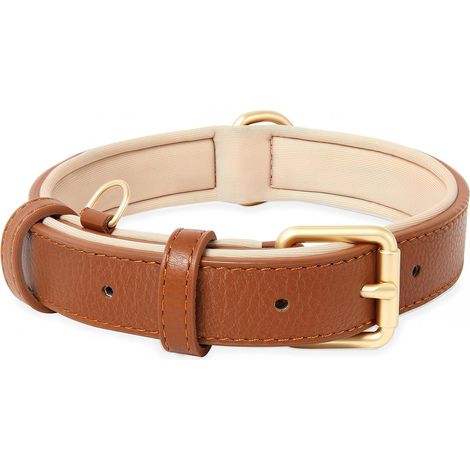 Collier pour Chien, en Cuir, Collier de Chien Ajustable Coussin Moelleux Cuir Nouvelle Couleur de Rembourrage pour Petits, Moyens ou Grands Chiens, Marron, S (1/5)