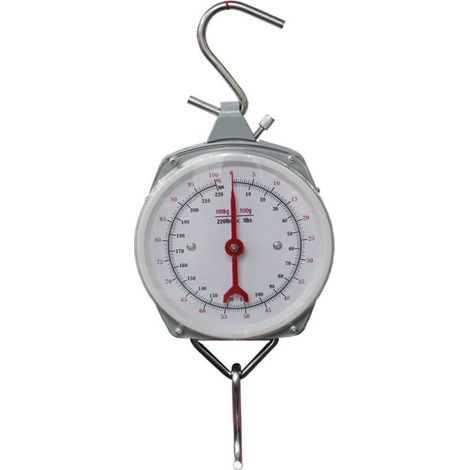 Professional 200 kg hanging scale crane scale loading scale scale scale scale of industrial scale First (1/5)