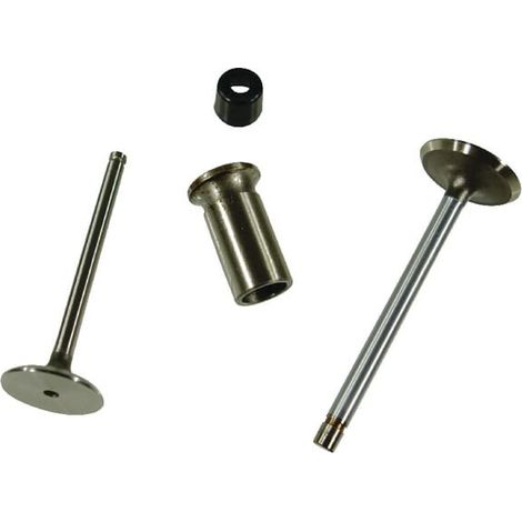 Soupape d'échappement UNIVERSEL R79624N