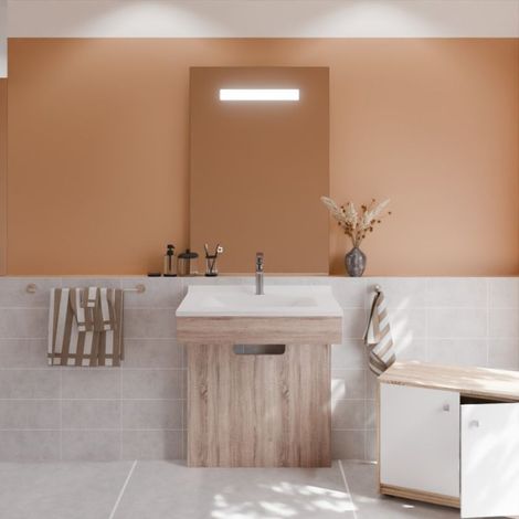 Meuble PMR ALTEA 60 cm avec plan vasque et miroir led Elégance ht105 (1/5)