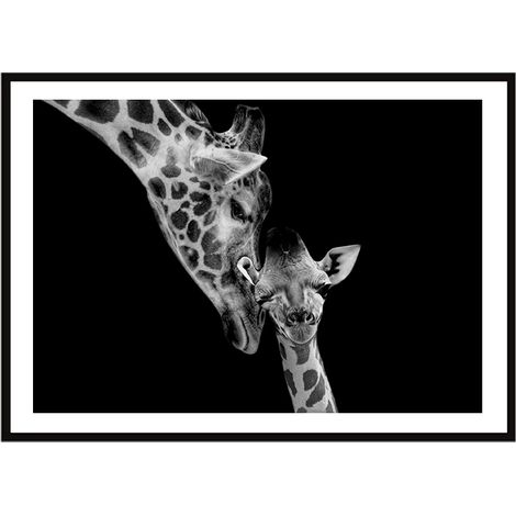 POSTER FOTOGRAFICO IN CORNICE 33x43 cm Giraffe P2256 (1/3)