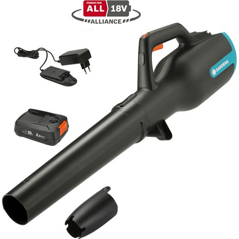 Set Soplador Batería PowerJet 18V P4A (1/5)