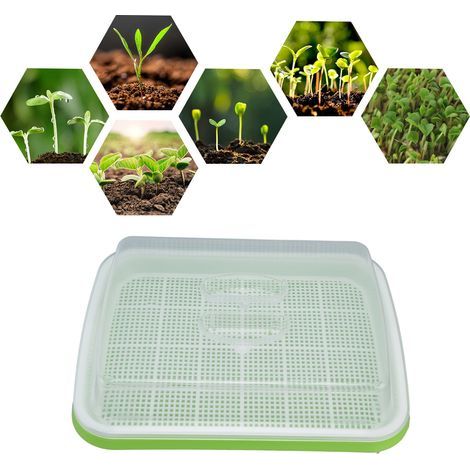 Bac de Germination avec Couvercle Transparent et Petits Trous, Matériau Plastique Résistant (1/5)