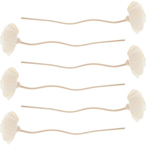 Lot de 6 bâtonnets diffuseurs de fleurs séchées pour huiles essentielles et arômes (1/5)