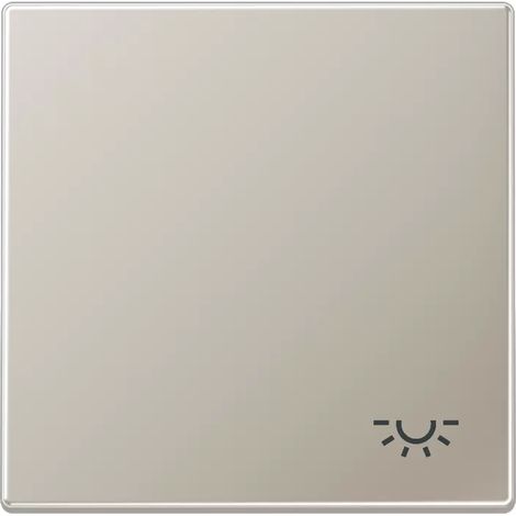 JUNG ES2990L WIPPE MIT SYMBOL ''LICHT'' (1/2)