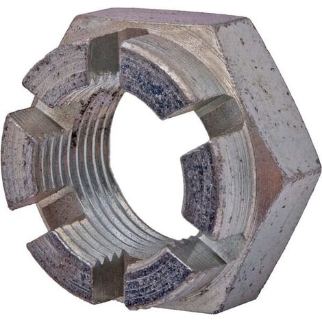 Mutter MASCHIO B00851527R (1/2)