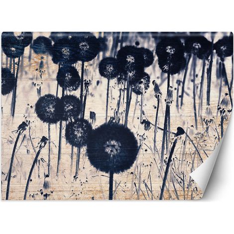 Papier peint Pissenlits monochromes sur planches 150x105 (1/5)