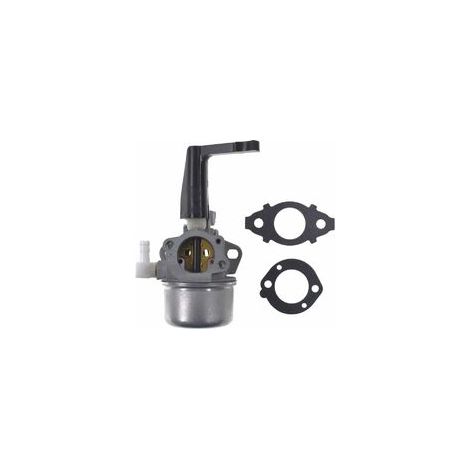 JRL 696065 Kit de remplacement et de joints de carburateur pour Briggs & Stratton (1/4)