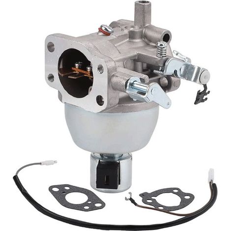 Vergaser für Briggs-Motoren, Teilenummern 847395, 846280, 808725 und 846944 (1/5)