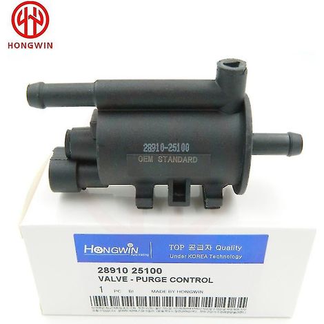 2891025100 Soupape de purge du canister d'évaporation compatible avec Kia Rondo, Carens, Sorento (2006-2014) et Hyundai Tucson