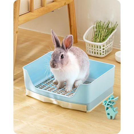 Toilette pour Lapin (1/5)