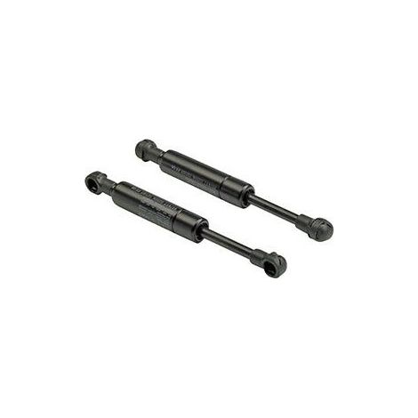 Muelle de gas 9079622250N (1/2)