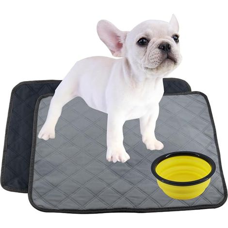 Dog Mat, Dog Training Mat, Dog Mat, Pee Pad Leak Proof for Dog/Cat/Rabbit (1/5)
