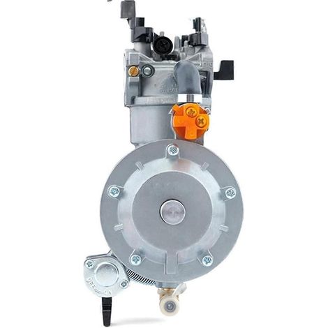 Motorradvergaser für GX200 3 kW 6,5 PS Motor, NG Dual Fuel Umrüstsatz für 2 kW 168F P19-LPG Benzingenerator, Wasserpumpenteile, Vergaser (1/5)
