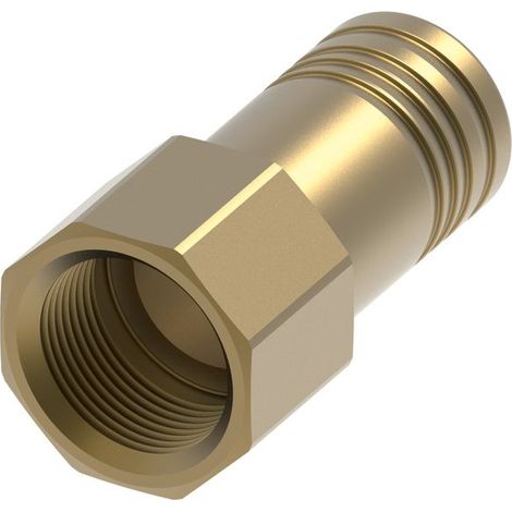 Tece Gewindeadapter aus Siliziumbronze für Hygienebox Rp1/2" (1/3)