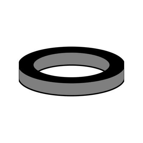 10 PZ GUARNIZIONI IN GOMMA PER CARTUCCIA INTERNA Misura: M28 - 19 x 25,9 x 3 mm