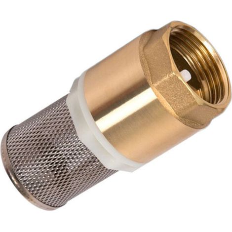 Clapet anti-retour en laiton 33,7 mm (1) DN25 avec corps en acier inoxydable