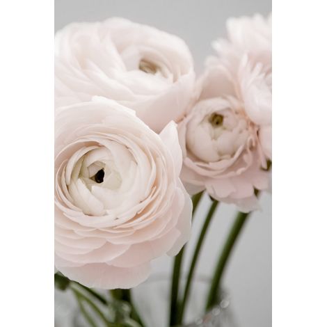 Tableau sur toile bouquet rose 30x45 cm - Impression sur Toile Murale Décorative - Image imprimée en HD sur Toile - Toile sur Châssis en Bois FSC - Fabriqué en France (1/5)