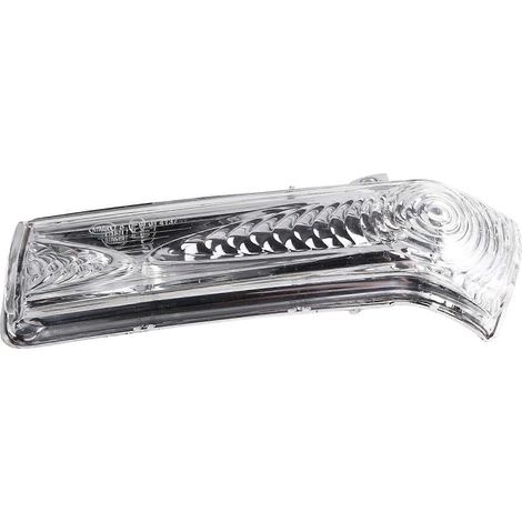 Blinker im linken Außenspiegel 71765449 für Fiat Doblo 2010-2019 und Opel Combo 2011-2018 JXLGV (1/5)