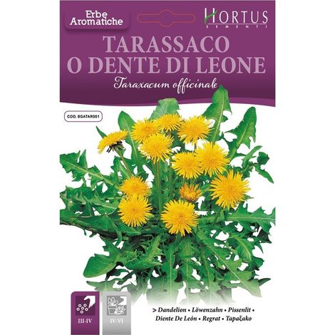 Tarassaco o Dente di Leone DB