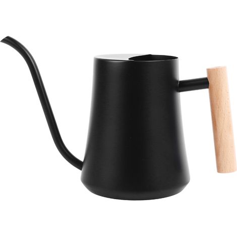 Gießkanne aus Edelstahl mit langem Ausguss, 1 Liter, rostgeschützt, mit Holzgriff, Gartengerät für Zimmerpflanzen (1/5)