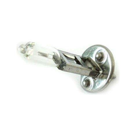 10 Pezzi Lampada Alogena Camion H1 24V 70W P14,5s