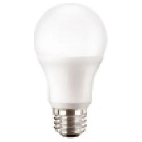 Lampada Mzd Led 100W A65 E27 865 Fr Nd 1Ct/6 G3 ( Philips Cod. Mzd100865G2 )