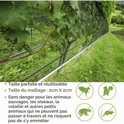 Anti Bird Netting, 4 x 12 m Garden Netting, Anti Pigeon Net, Black (1/2)