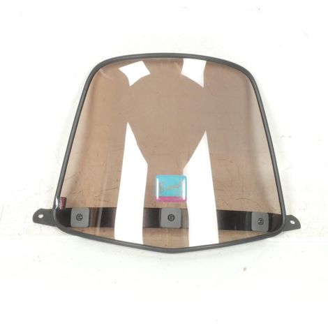 Kleine getönte Windschutzscheibe von Biondi für den Gilera 50 (1/5)