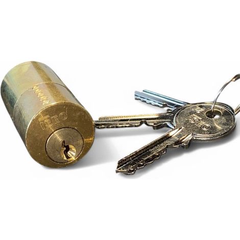 Cilindro esterno fisso per serrature da applicare con chiave a 5 spine e kit di fissaggio 3 chiavi (1/4)