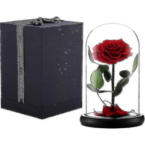 Hotselling Preserved Real Rose Eternal Rose In Glass Dome Gift For Her Thanksgiving (1/4)