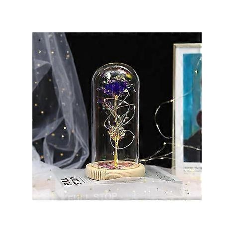 Ewige Rosen – Schönheit und Tierrosen-Set in Glaskuppel mit LED-Beleuchtung – Künstliche Rosenblumen – Rosengeschenk für Frauen – Geschenk für Mütter