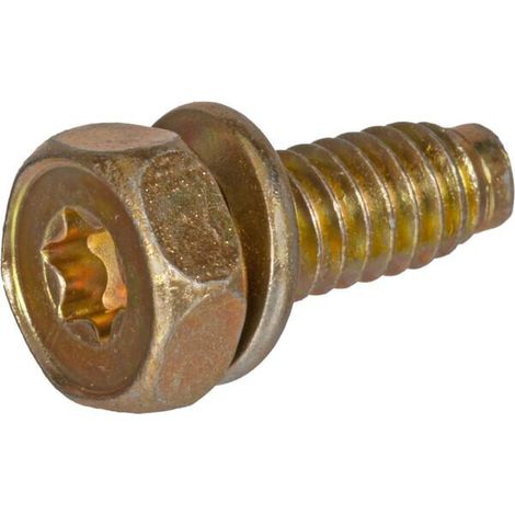 Vite originale motore rasaerba tagliaerba tosaerba BRIGGS & STRATTON 691665