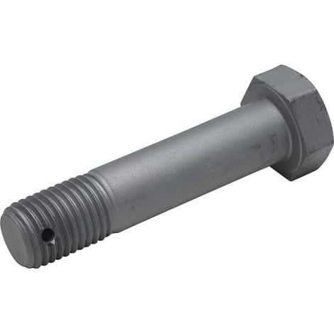 Tornillo M30 x 133 V脛DERSTAD 428840 (1/2)