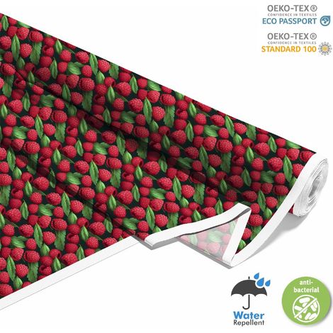 Outdoor dekostoffe oxford - Motiv Obst DX6956 (1/5)