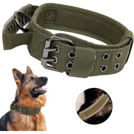 (Grünes) Hundehalsband – Größe M – Gepolstertes Nylon – Metallschnalle – Reflektierendes Grün (1/4)