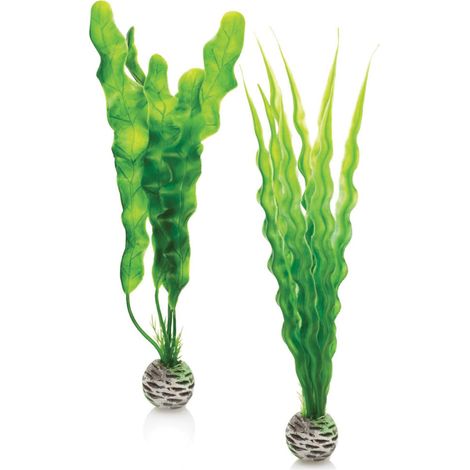 biOrb Set di piante verdi medie, decorazioni colorate e durevoli per acquario (1/5)
