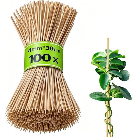 Tuteurs Bambou 30cm X 4mm, Lot 100, Tuteurs Plantes Bambou, Tuteurs Fleurs, Bâtons Bois Support Semis, Tuteurs Grimpants Plantes, Tuteurs Grimpants (Naturel) (1/5)